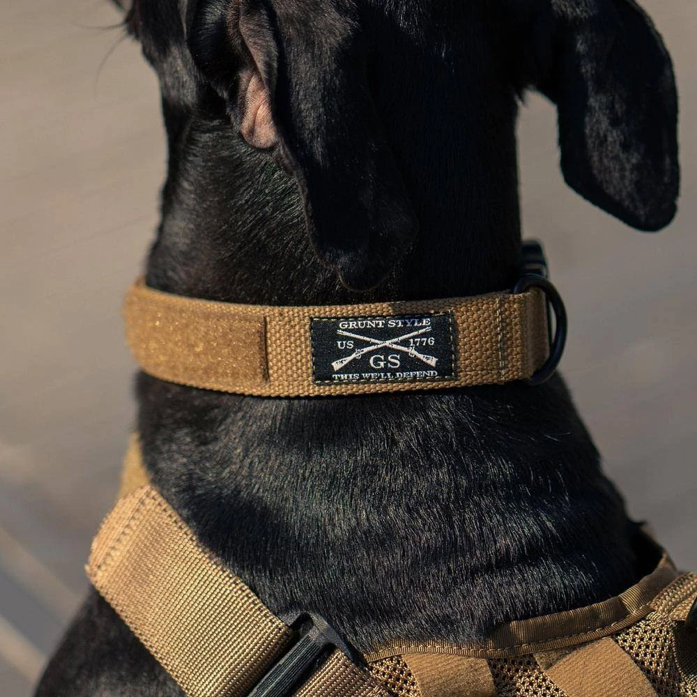 Accessories Quick Release Coyote Dog Collar 3 Accessories Quick Release Coyote Dog Collar