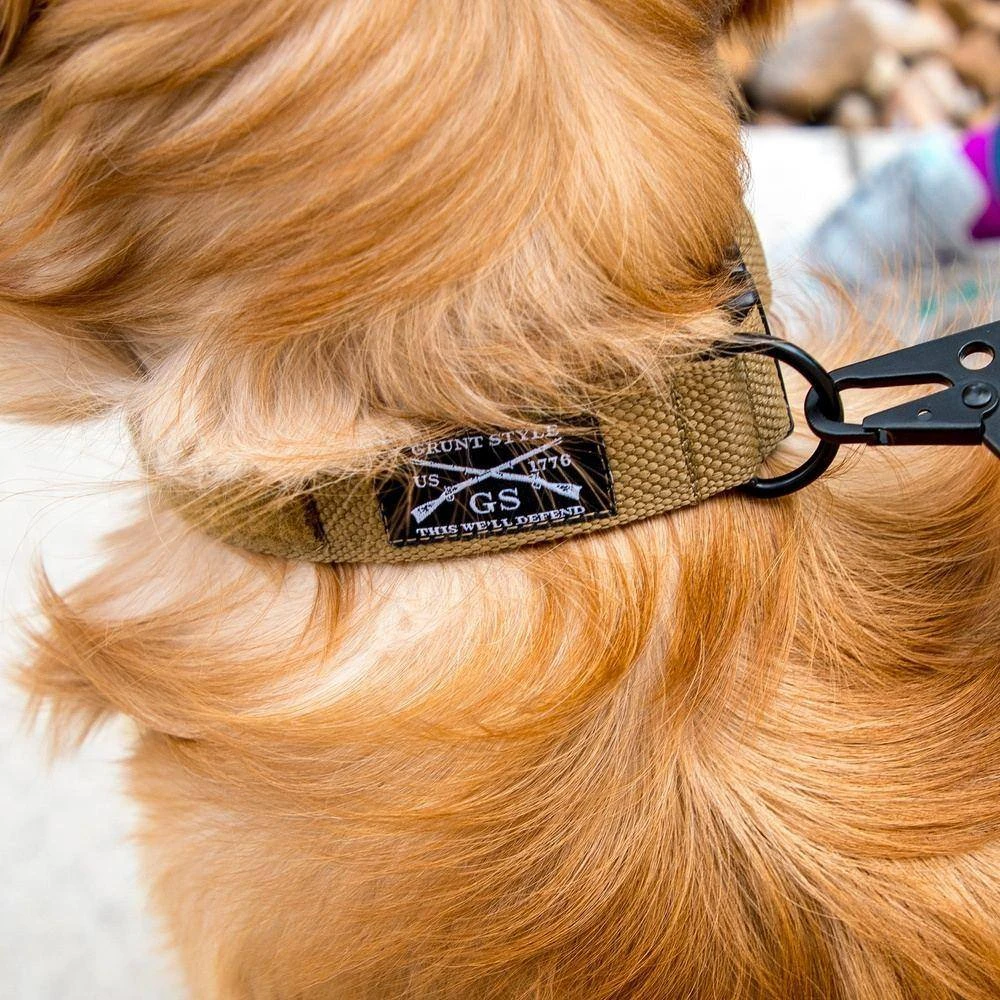 Accessories Quick Release Coyote Dog Collar 5 Accessories Quick Release Coyote Dog Collar - Image 3