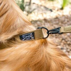 Accessories Quick Release Coyote Dog Leash -Fashion Trend Clothing Store BlankPoster 2000x2000 copy3 GS5521 GSQuickReleaseCoyoteDogCollar