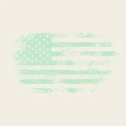 Women's Vintage American Flag Cropped T-Shirt - Natural -Fashion Trend Clothing Store GS4749 Women sVintageAmericanFlagCroppedTee Natural STANDARD WEB READY frontArt