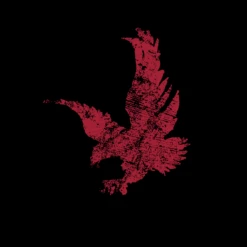 Freedom Flag Full-Zip Hoodie - Black -Fashion Trend Clothing Store GS5085 FreedomFlagFull ZipHoodie Black WEB READYFLBART